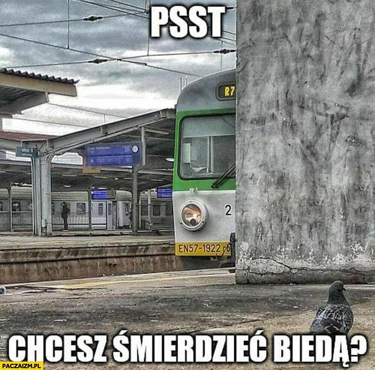 
    Pociąg psst chcesz śmierdzieć biedą?