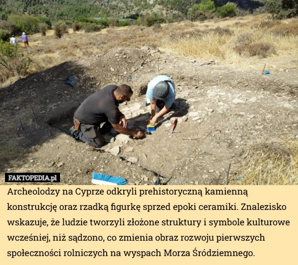 
    Archeolodzy na Cyprze odkryli prehistoryczną kamienną konstrukcję oraz rzadką