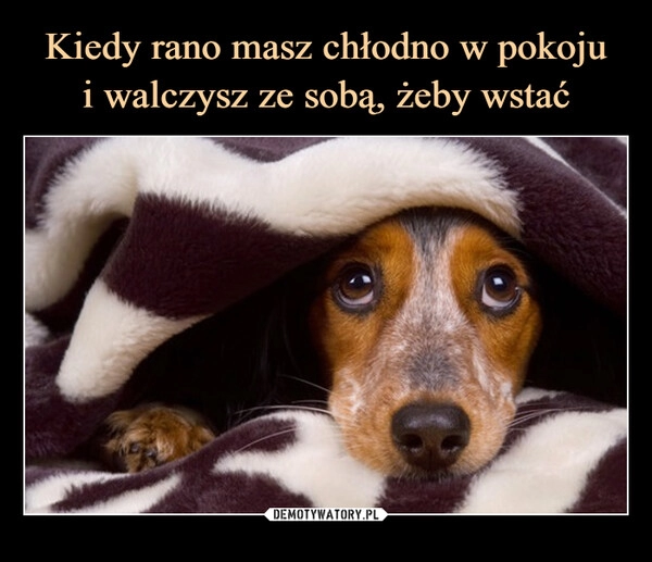 
    Kiedy rano masz chłodno w pokoju
i walczysz ze sobą, żeby wstać