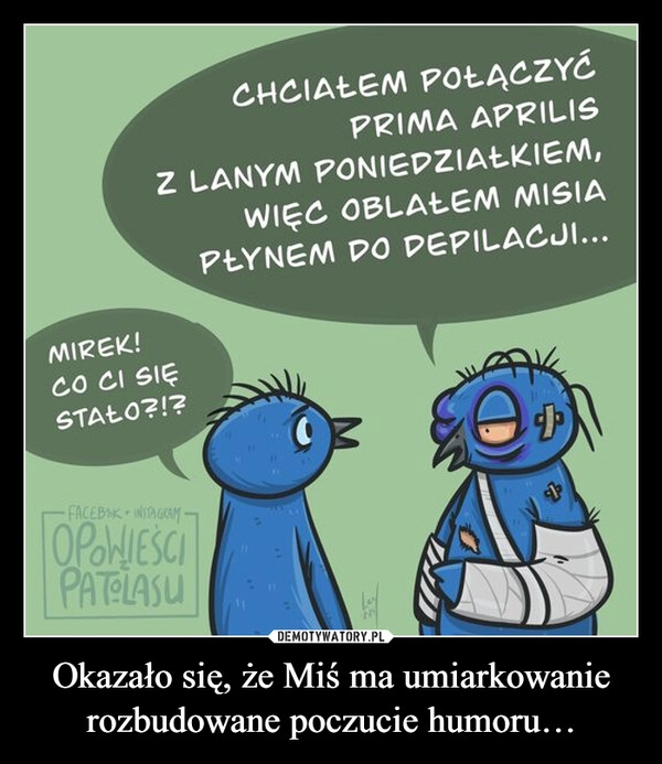 
    Okazało się, że Miś ma umiarkowanie rozbudowane poczucie humoru…