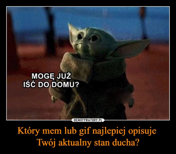 
    Który mem lub gif najlepiej opisuje 
Twój aktualny stan ducha?