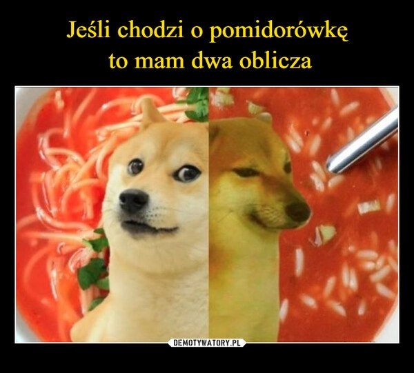 
    Jeśli chodzi o pomidorówkę
 to mam dwa oblicza