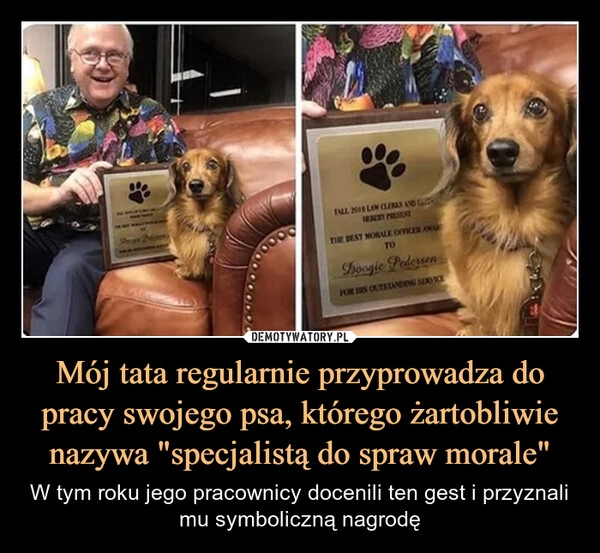 
    Mój tata regularnie przyprowadza do pracy swojego psa, którego żartobliwie nazywa "specjalistą do spraw morale"