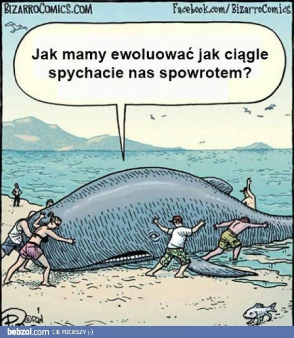 
    Ewolucja