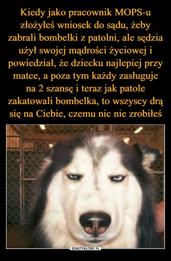 
    Kiedy jako pracownik MOPS-u złożyłeś wniosek do sądu, żeby zabrali bombelki z patolni, ale sędzia użył swojej mądrości życiowej i powiedział, że dziecku najlepiej przy matce, a poza tym każdy zasługuje na 2 szansę i teraz jak patole zakatowali bombelka, to wszyscy drą się na Ciebie, czemu nic nie zrobiłeś