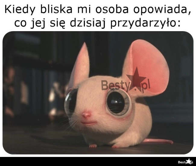 
    Zamieniam się w słuch 