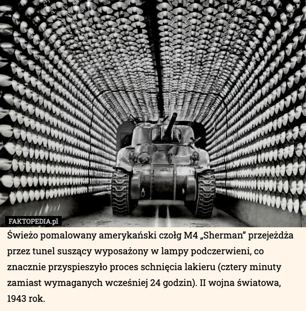
    Świeżo pomalowany amerykański czołg M4 „Sherman” przejeżdża przez tunel