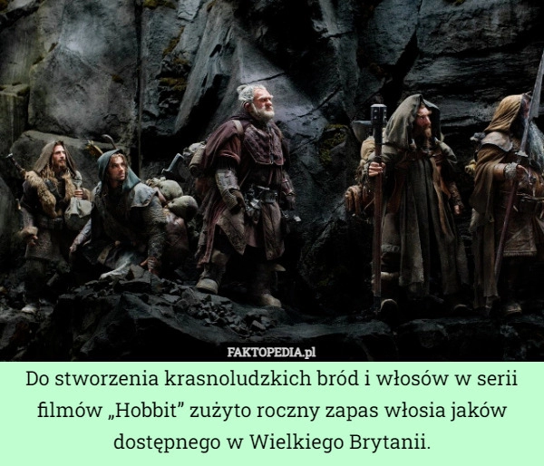 
    
			Do stworzenia krasnoludzkich bród i włosów w serii filmów „Hobbit” zużyto					