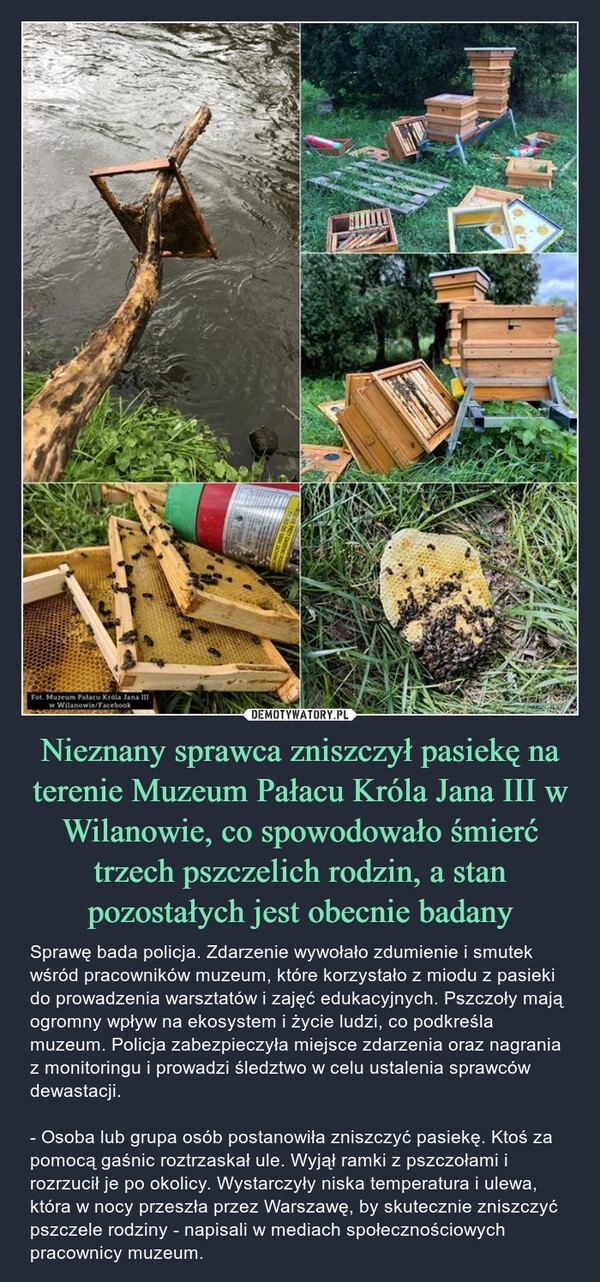 
    Nieznany sprawca zniszczył pasiekę na terenie Muzeum Pałacu Króla Jana III w Wilanowie, co spowodowało śmierć trzech pszczelich rodzin, a stan pozostałych jest obecnie badany