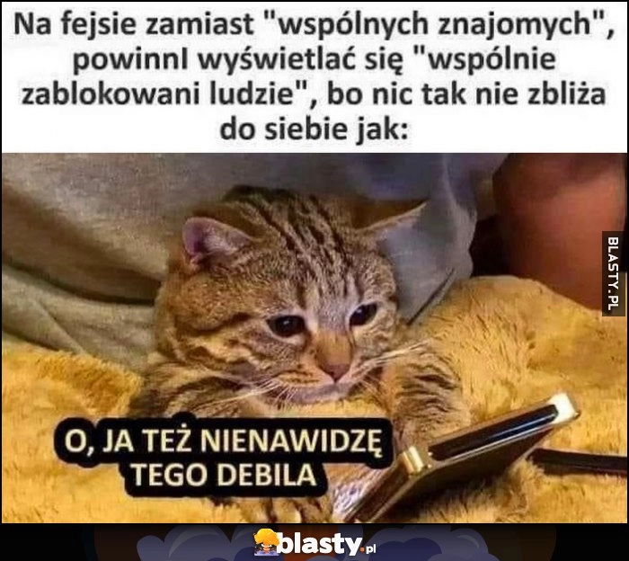 
    Na fejsie zamiast wspólnych znajomych powinni być wspólnie zablokowani ludzie, bo nic tak nie zbliża. Kot kotek: o ja tez nienawidze tego debila