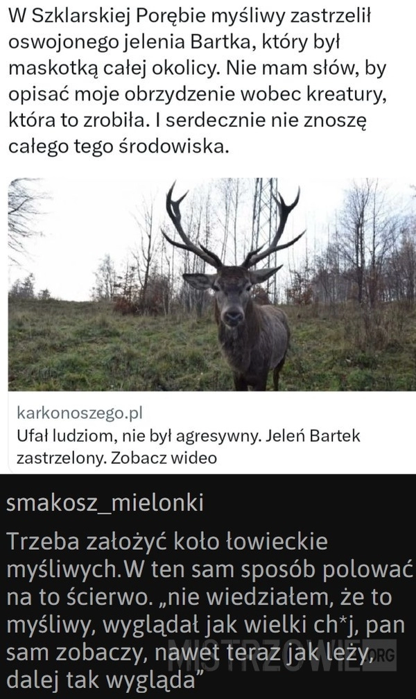 
    Jeleń