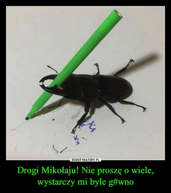 
    Drogi Mikołaju! Nie proszę o wiele, wystarczy mi byle g#wno