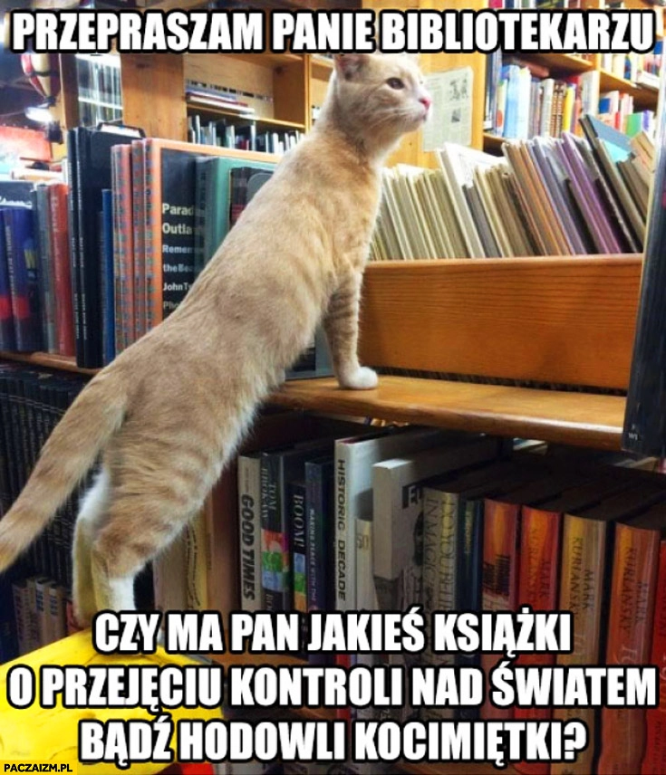 
    Przepraszam panie bibliotekarzu czy ma pan książki o przejęciu kontroli nad światem bądź hodowli kocimiętki?