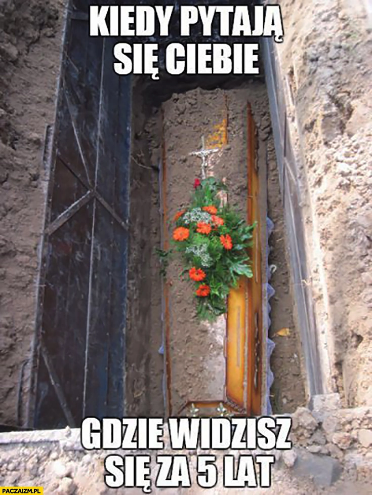 
    Kiedy pytają się Ciebie gdzie widzisz się za 5 lat w trumnie