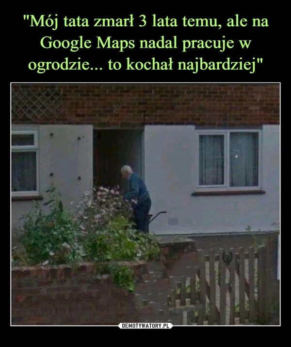 
    "Mój tata zmarł 3 lata temu, ale na Google Maps nadal pracuje w ogrodzie... to kochał najbardziej"