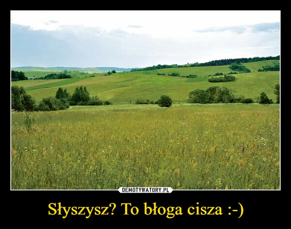 
    Słyszysz? To błoga cisza :-)