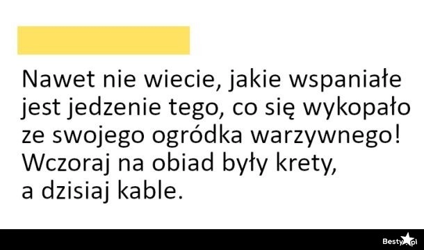 
    Własny ogródek warzywny 