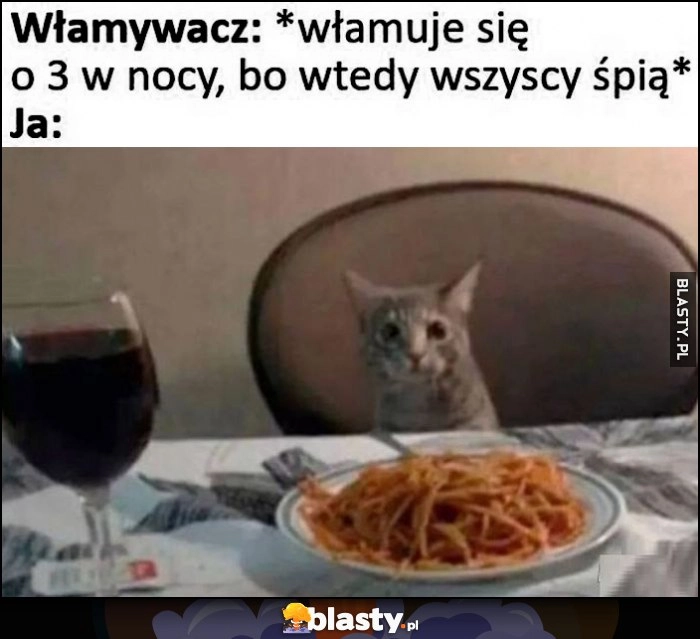 
    Włamywacz: włamuje się o 3 w nocy, bo wtedy wszyscy śpią, tymczasem ja: kotek je spaghetti i pije winko