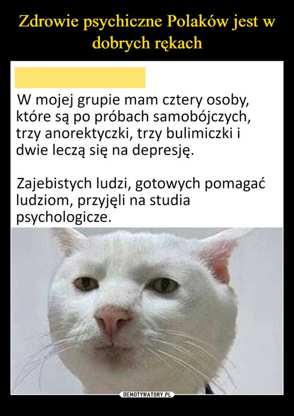 
    Zdrowie psychiczne Polaków jest w dobrych rękach