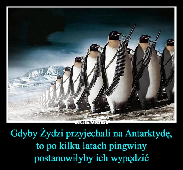 
    Gdyby Żydzi przyjechali na Antarktydę, to po kilku latach pingwiny postanowiłyby ich wypędzić