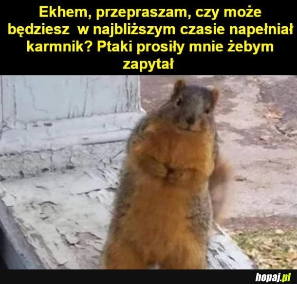 
    Przepraszam bardzo