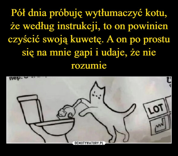 
    Pół dnia próbuję wytłumaczyć kotu, że według instrukcji, to on powinien czyścić swoją kuwetę. A on po prostu się na mnie gapi i udaje, że nie rozumie