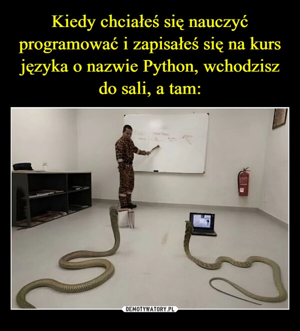 
    Kiedy chciałeś się nauczyć programować i zapisałeś się na kurs języka o nazwie Python, wchodzisz do sali, a tam: