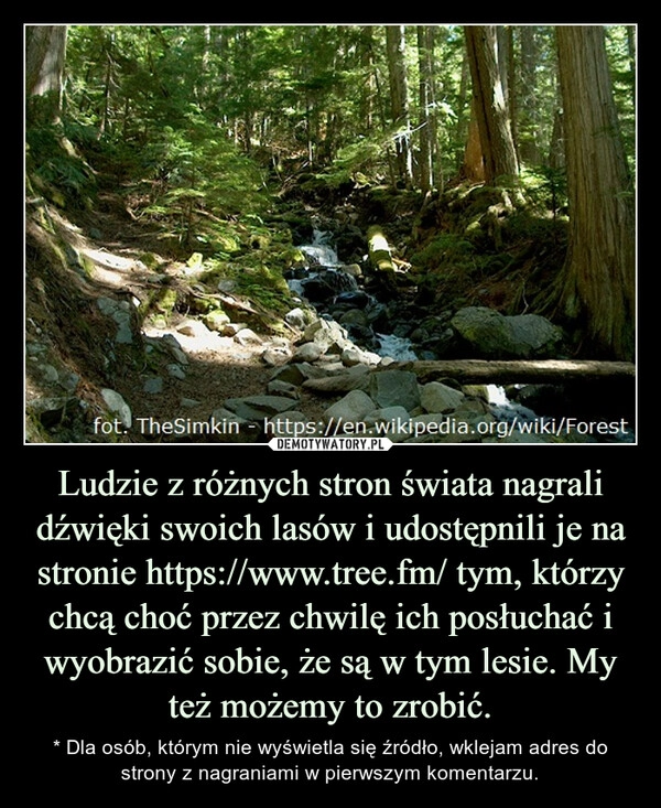 
    Ludzie z różnych stron świata nagrali dźwięki swoich lasów i udostępnili je na stronie https://www.tree.fm/ tym, którzy chcą choć przez chwilę ich posłuchać i wyobrazić sobie, że są w tym lesie. My też możemy to zrobić.