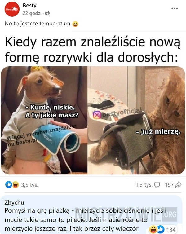 
    Rozrywka