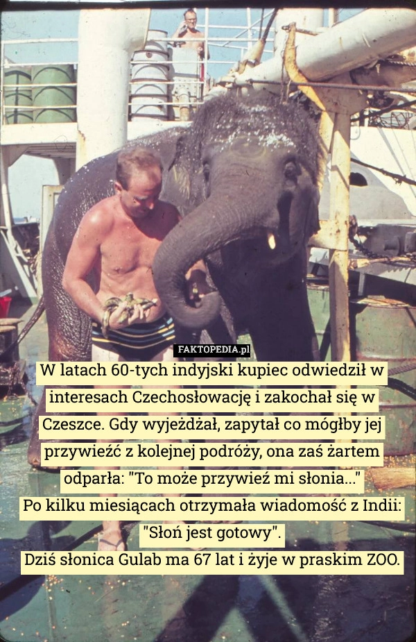 
    W latach 60-tych indyjski kupiec odwiedził w interesach Czechosłowację i