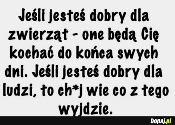 
    Zwierzęta vs ludzie