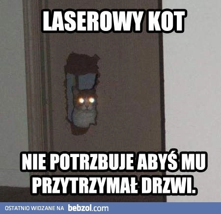 
    Laserowy kot