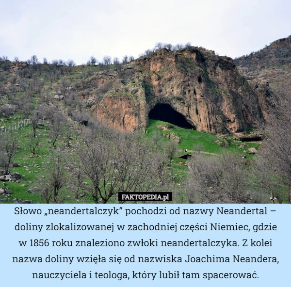 
    Słowo „neandertalczyk” pochodzi od nazwy Neandertal – doliny zlokalizowanej