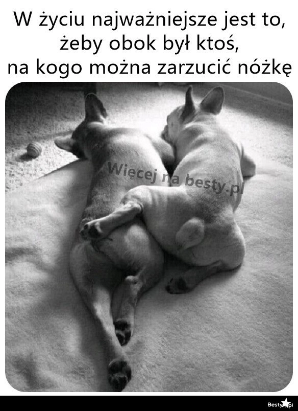 
    Miło, dobrze i wygodnie 