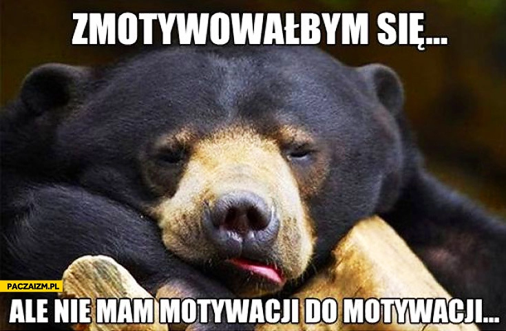 
    Zmotywowałbym się ale nie mam motywacji do motywacji