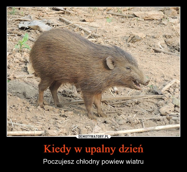 
    Kiedy w upalny dzień