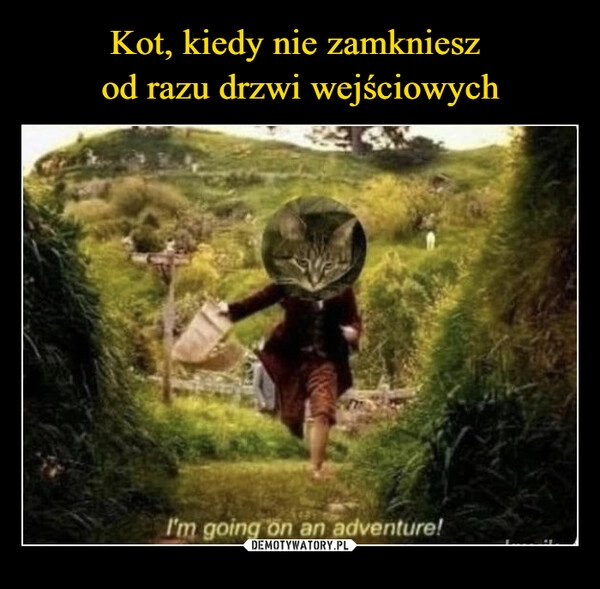 
    Kot, kiedy nie zamkniesz 
od razu drzwi wejściowych