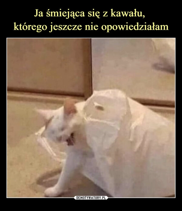 
    Ja śmiejąca się z kawału, 
którego jeszcze nie opowiedziałam