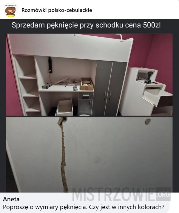 
    Oferta