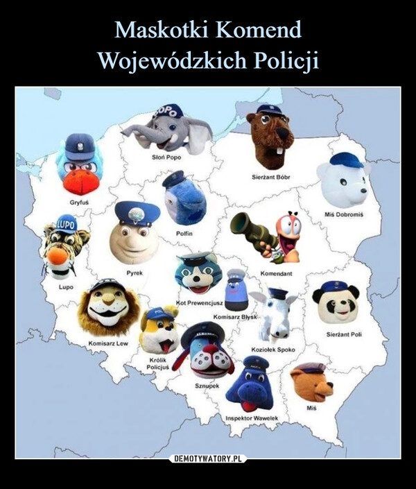 
    
Maskotki Komend
Wojewódzkich Policji 