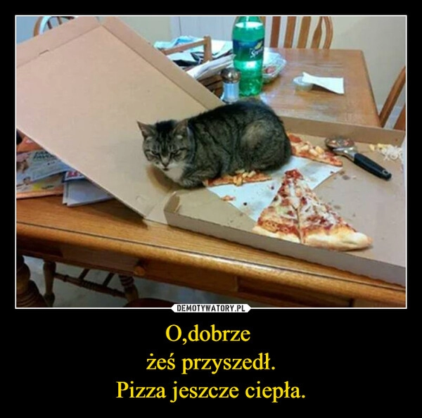 
    O,dobrze 
żeś przyszedł.
Pizza jeszcze ciepła.