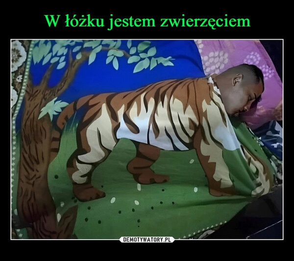 
    W łóżku jestem zwierzęciem