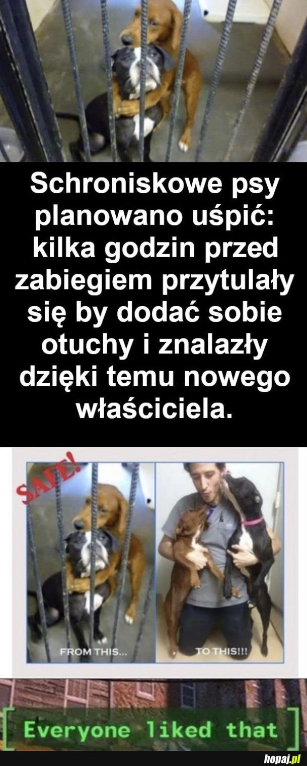 
    Szczęśliwe zakończenie
