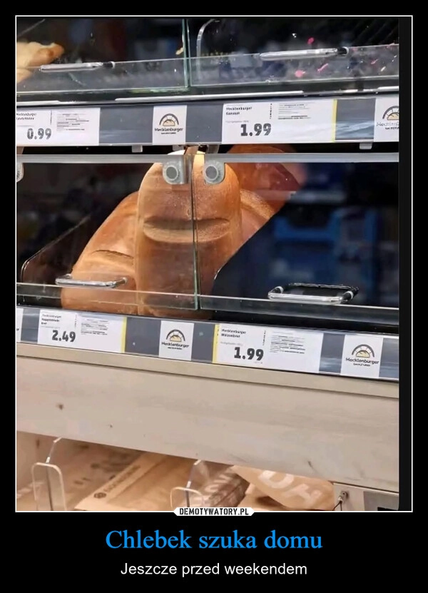 
    Chlebek szuka domu