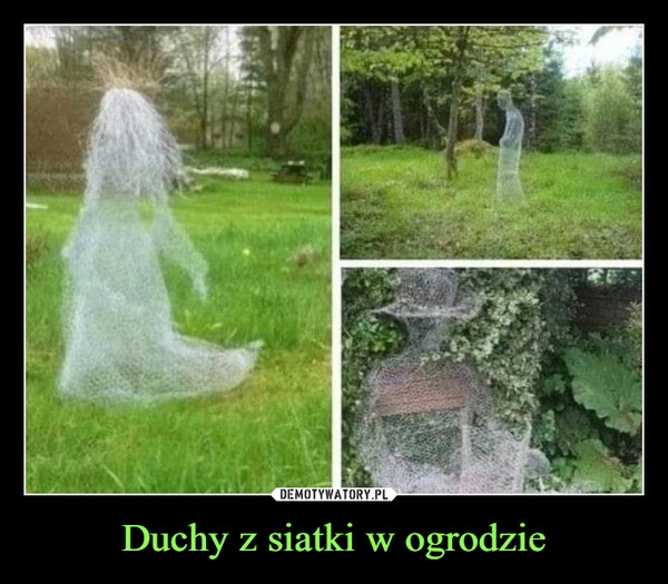 
    Duchy z siatki w ogrodzie