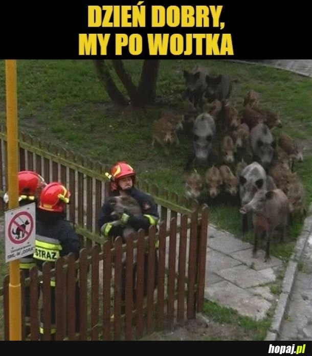 
    Kiedy wszyscy koledzy z podwórka przychodzą po ciebie