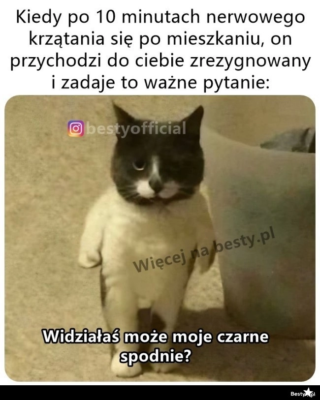 
    Czas się poddać 