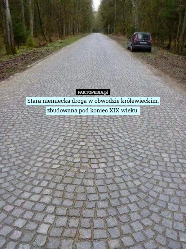 
    Stara niemiecka droga w obwodzie królewieckim,
zbudowana pod koniec XIX