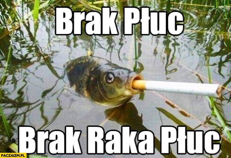 
    Brak płuc brak raka płuc ryba papieros