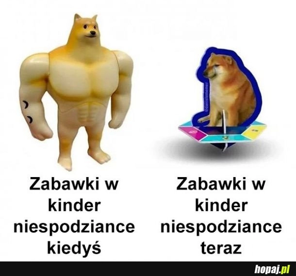 
    Zabawki w kinderkach